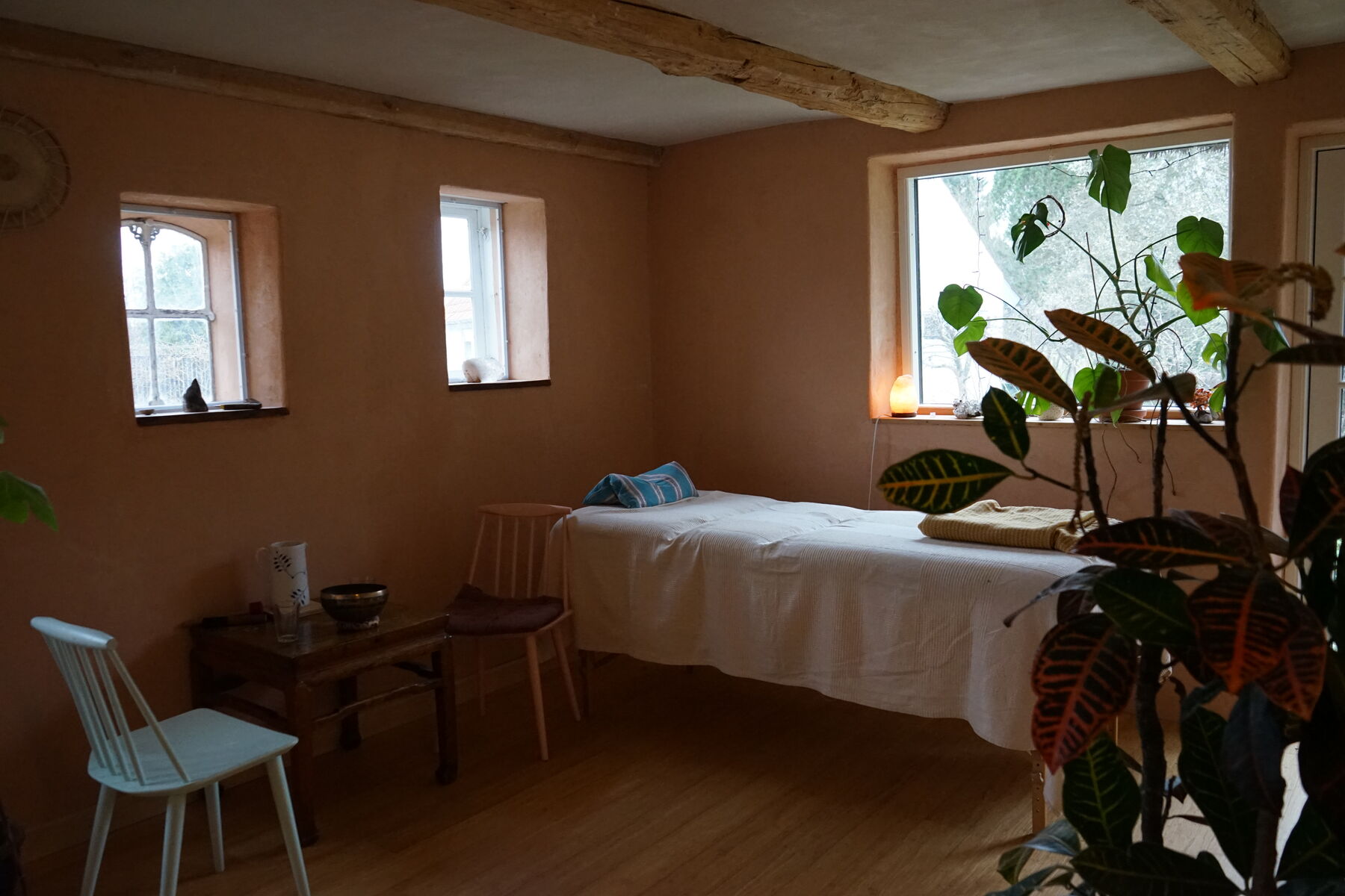 Behandlingsrum med briks og planter